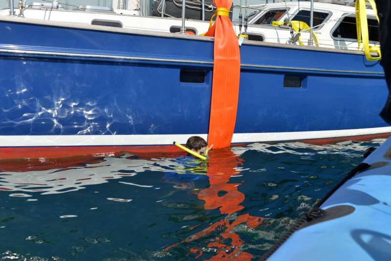 stormvogel_loading_0036