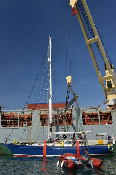 stormvogel_loading_0046