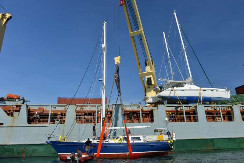 stormvogel_loading_0056