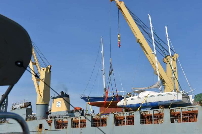 stormvogel_loading_0076