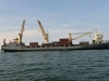stormvogel_loading_0021