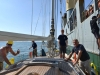 stormvogel_loading_0026