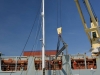 stormvogel_loading_0046
