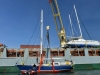 stormvogel_loading_0056