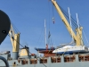 stormvogel_loading_0076
