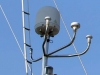 stormvogel_loading_0086