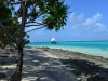 stormvogel_mystery_island_0056