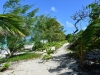 stormvogel_mystery_island_0066