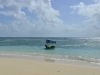 stormvogel_mystery_island_0101