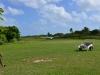 stormvogel_mystery_island_0136