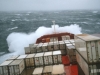 sturm013