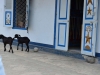 sumbawa_besar_0026