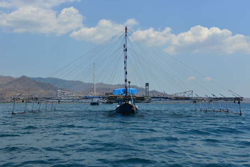 sumbawa_kilo_0026