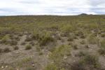 tabernas_0013