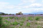 tabernas_0026