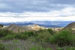 tabernas_0028