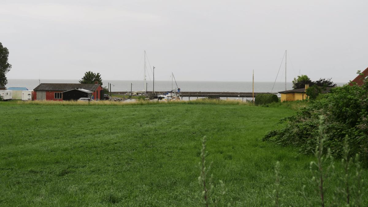 tag_13_haesnes_14
