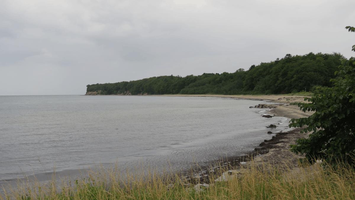 tag_13_haesnes_17