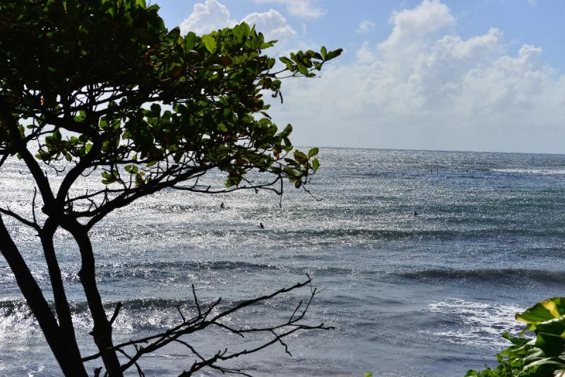 tahiti_2_0011