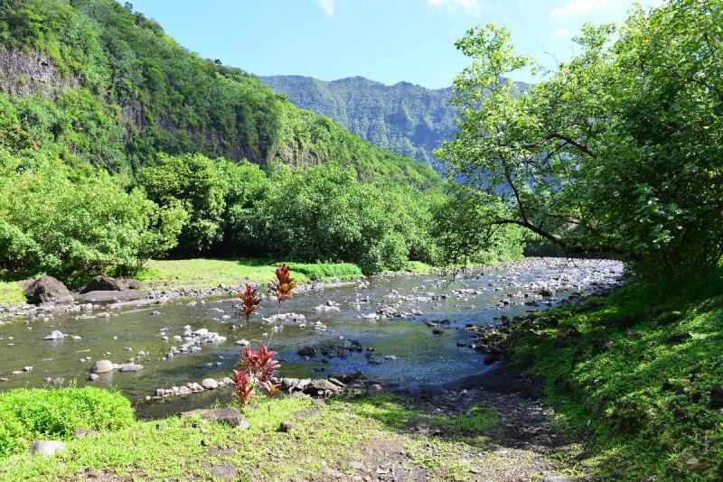 tahiti_2_0026