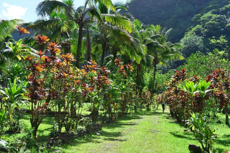 tahiti_2_0031
