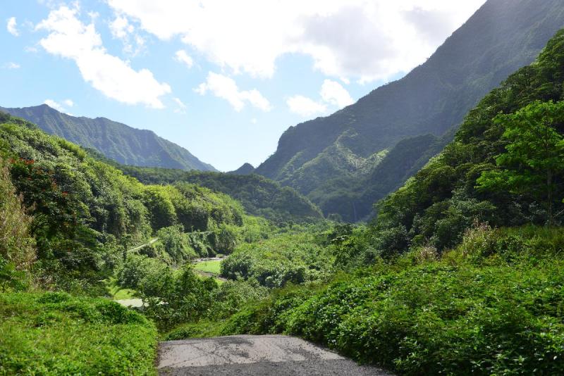 tahiti_2_0041