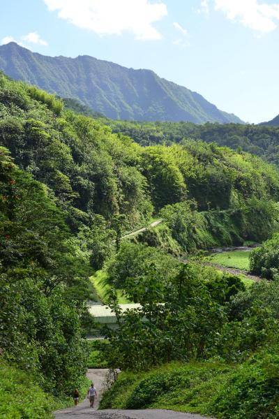 tahiti_2_0046