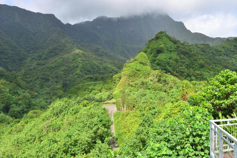 tahiti_2_0071
