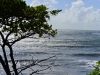 tahiti_2_0011