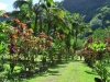 tahiti_2_0031