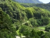 tahiti_2_0046