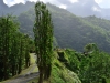 tahiti_2_0052