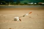 tarifa_2022_april_2_0008