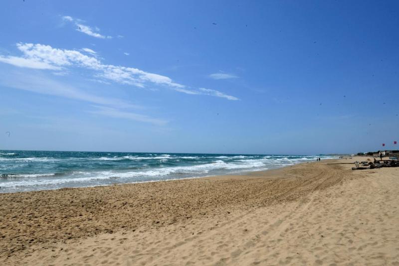 sete_001