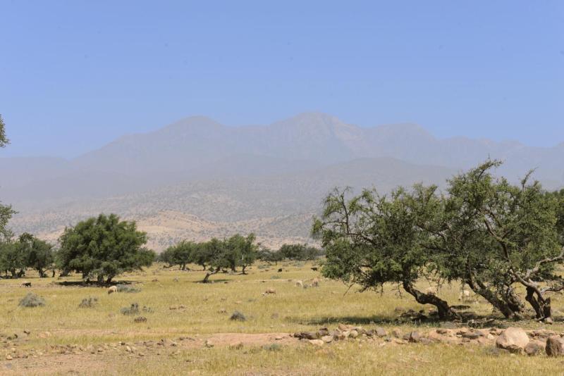 taroudannt_tizi_n_test_marrakesh_tizzi_TICHKA_0008