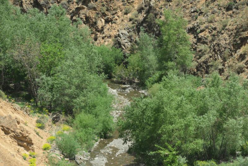 taroudannt_tizi_n_test_marrakesh_tizzi_TICHKA_0050