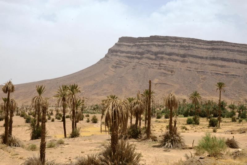 tata_tan_tan_plage_sidi_infi_0007