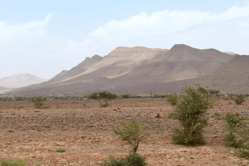 tata_tan_tan_plage_sidi_infi_0013