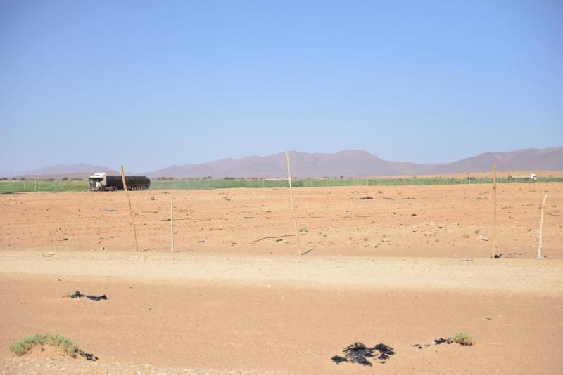 tata_tan_tan_plage_sidi_infi_0017