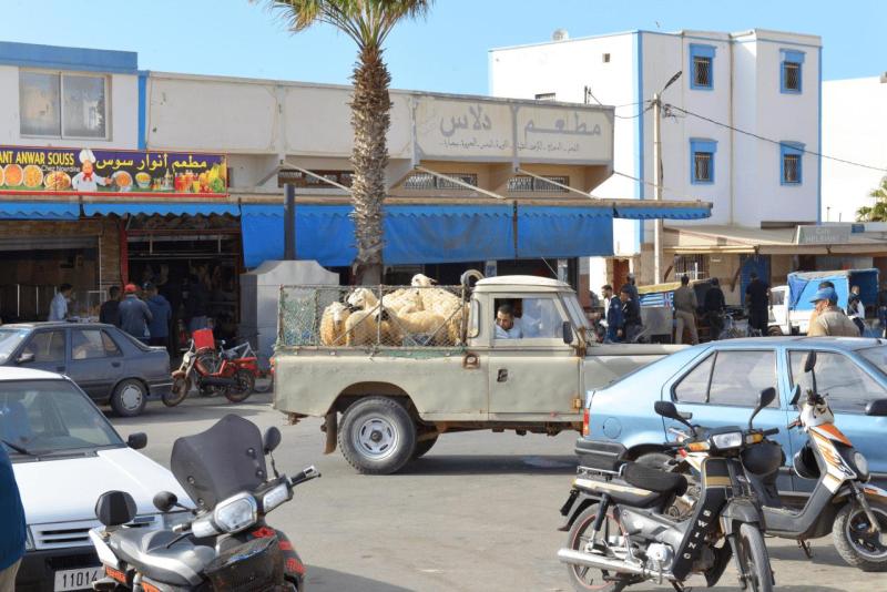 tata_tan_tan_plage_sidi_infi_0033