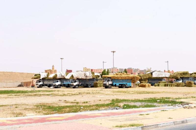 tata_tan_tan_plage_sidi_infi_0041