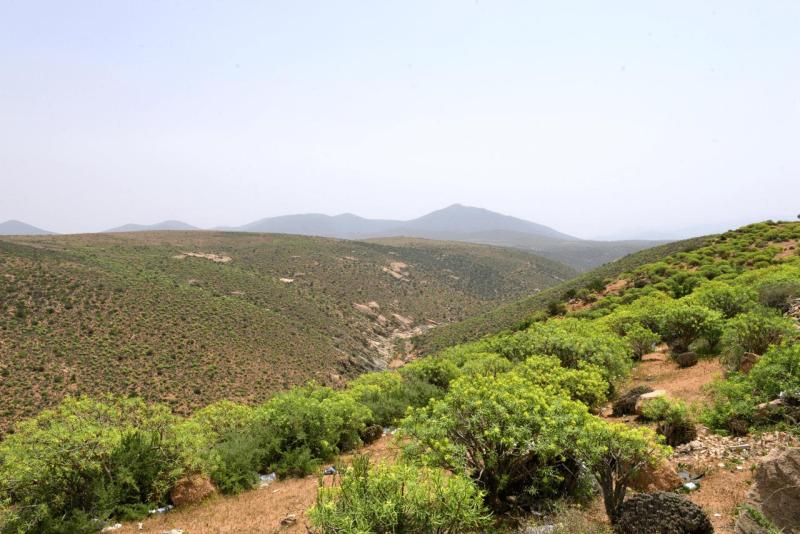 tata_tan_tan_plage_sidi_infi_0043