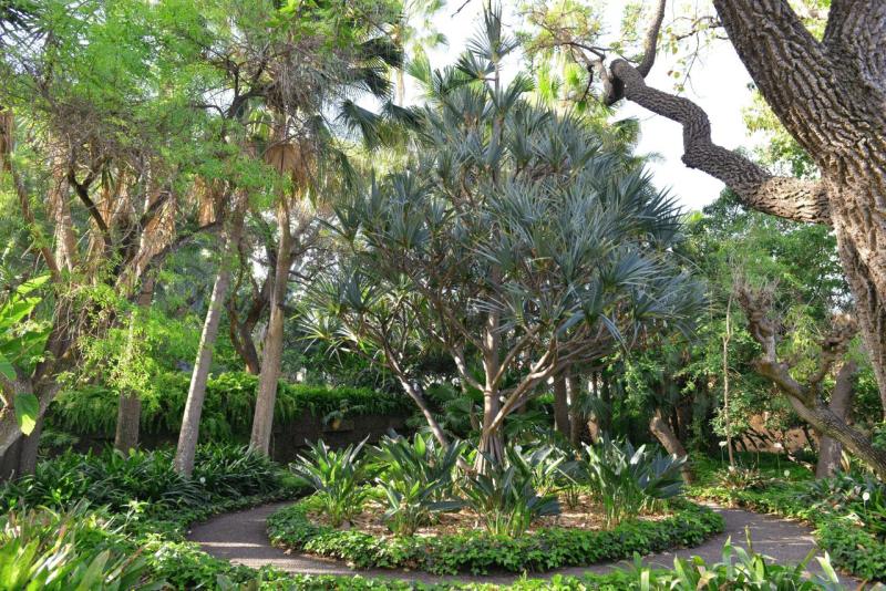 tenerife_botanical_garden_puerto_de_la_cruz_003