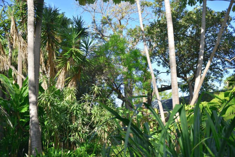 tenerife_botanical_garden_puerto_de_la_cruz_004