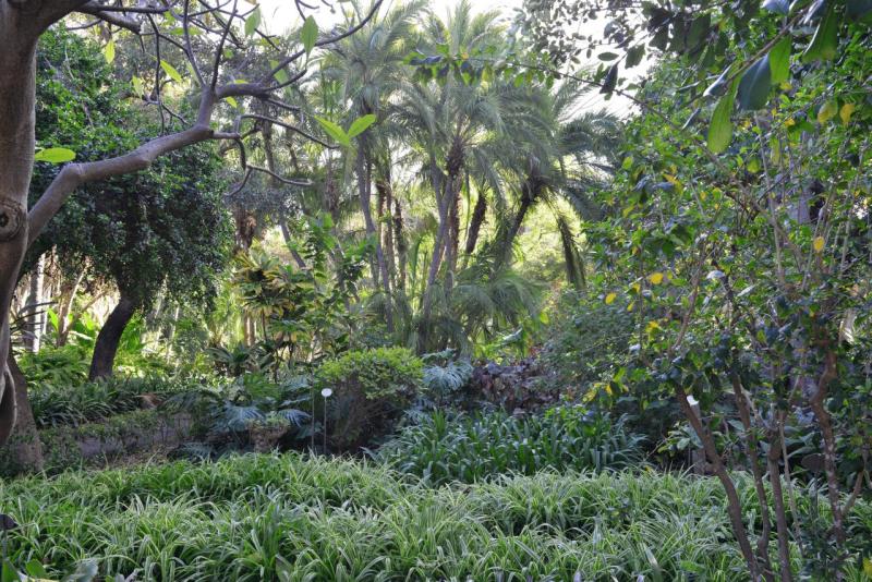 tenerife_botanical_garden_puerto_de_la_cruz_006