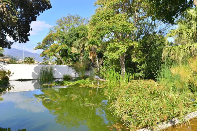 tenerife_botanical_garden_puerto_de_la_cruz_016
