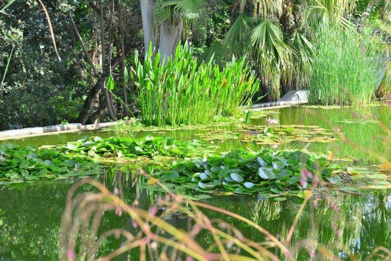 tenerife_botanical_garden_puerto_de_la_cruz_018