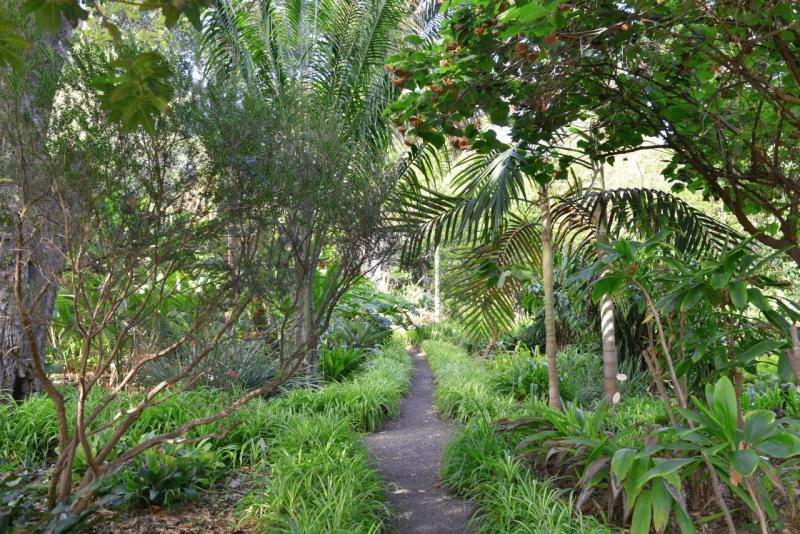 tenerife_botanical_garden_puerto_de_la_cruz_020