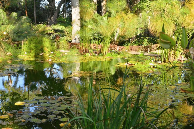 tenerife_botanical_garden_puerto_de_la_cruz_024