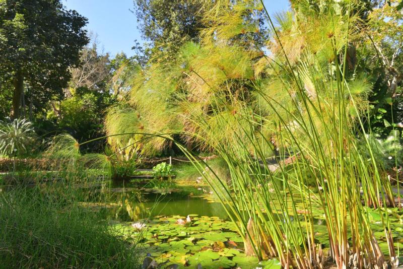 tenerife_botanical_garden_puerto_de_la_cruz_025